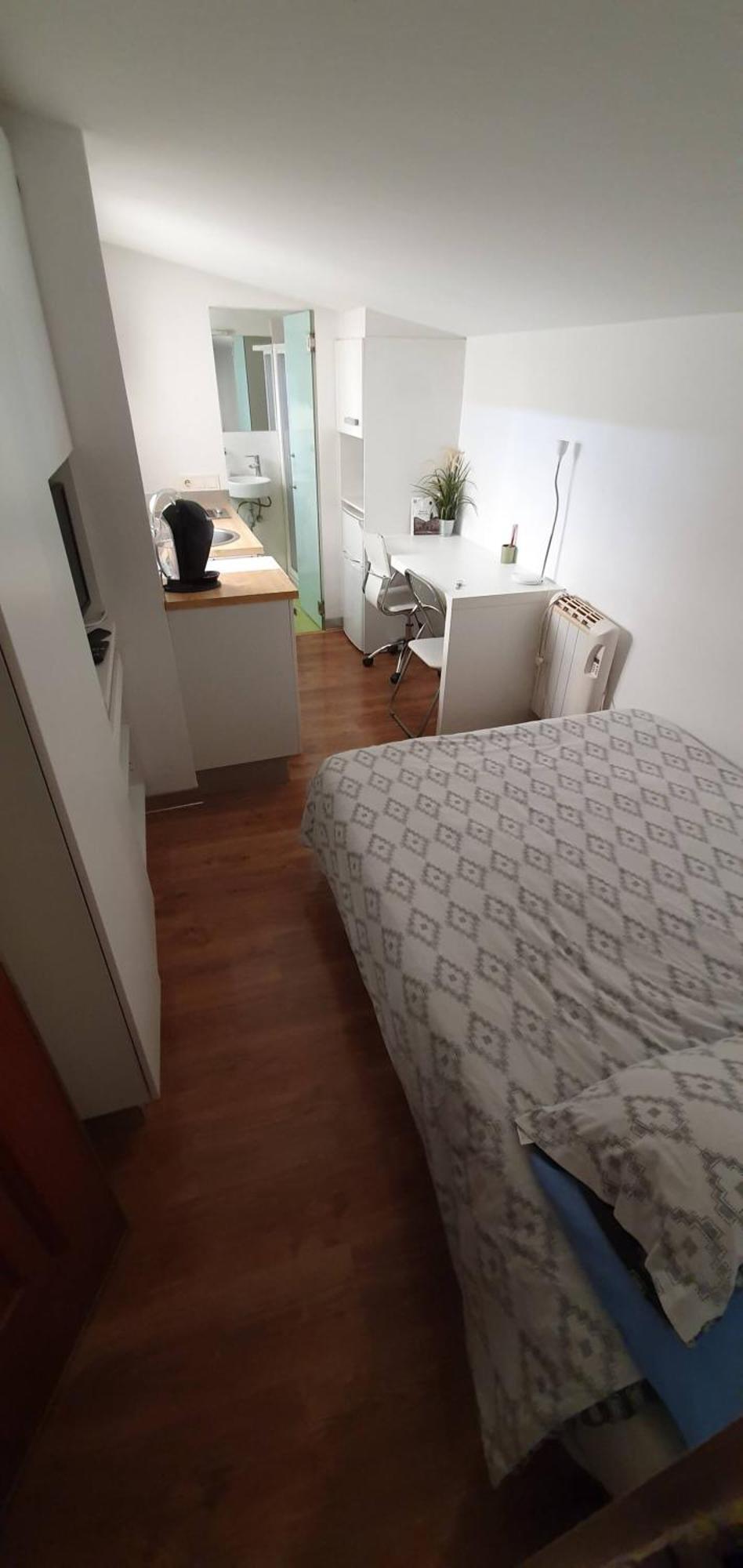 Apartment Estudio Muy Centrico
